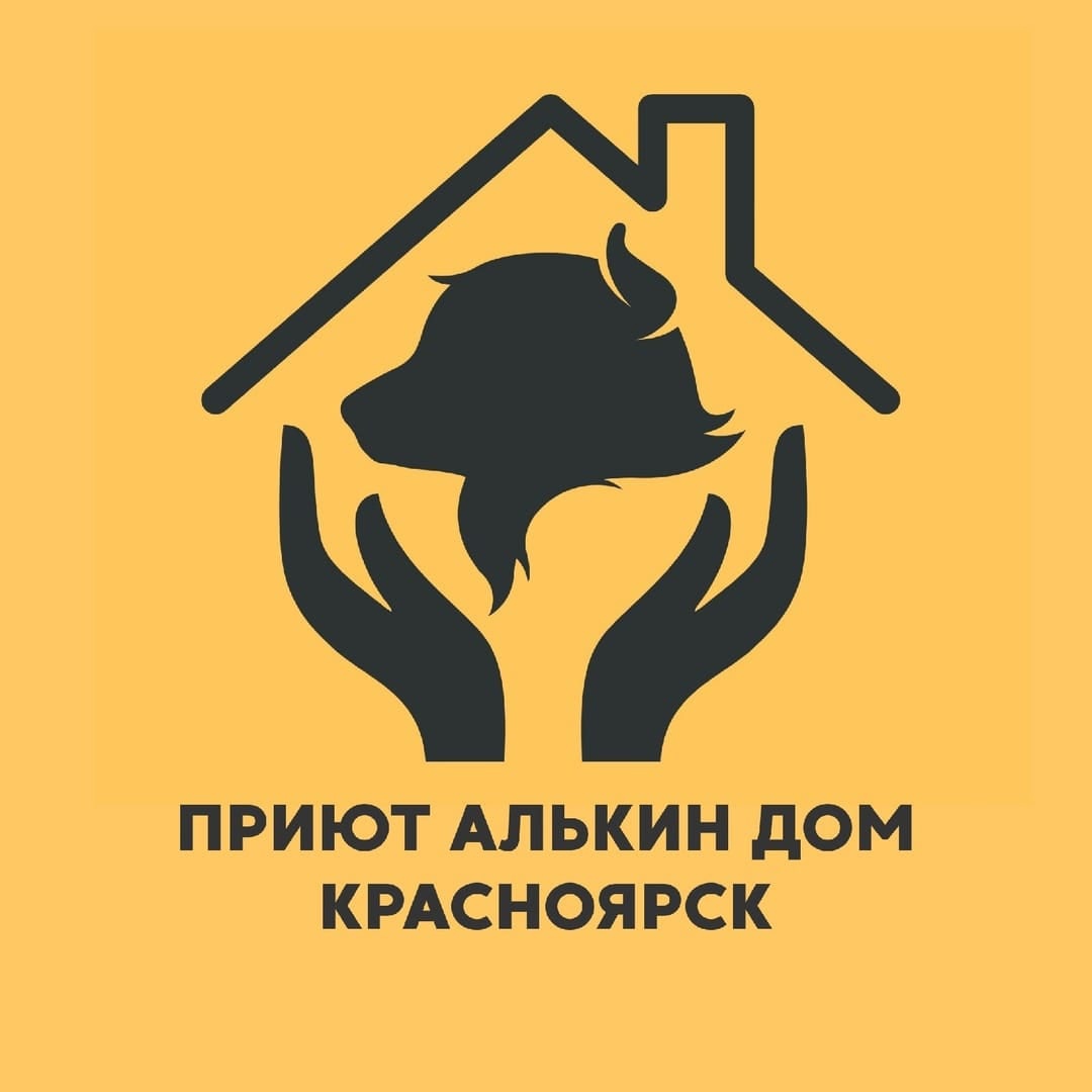 «Алькин Дом»